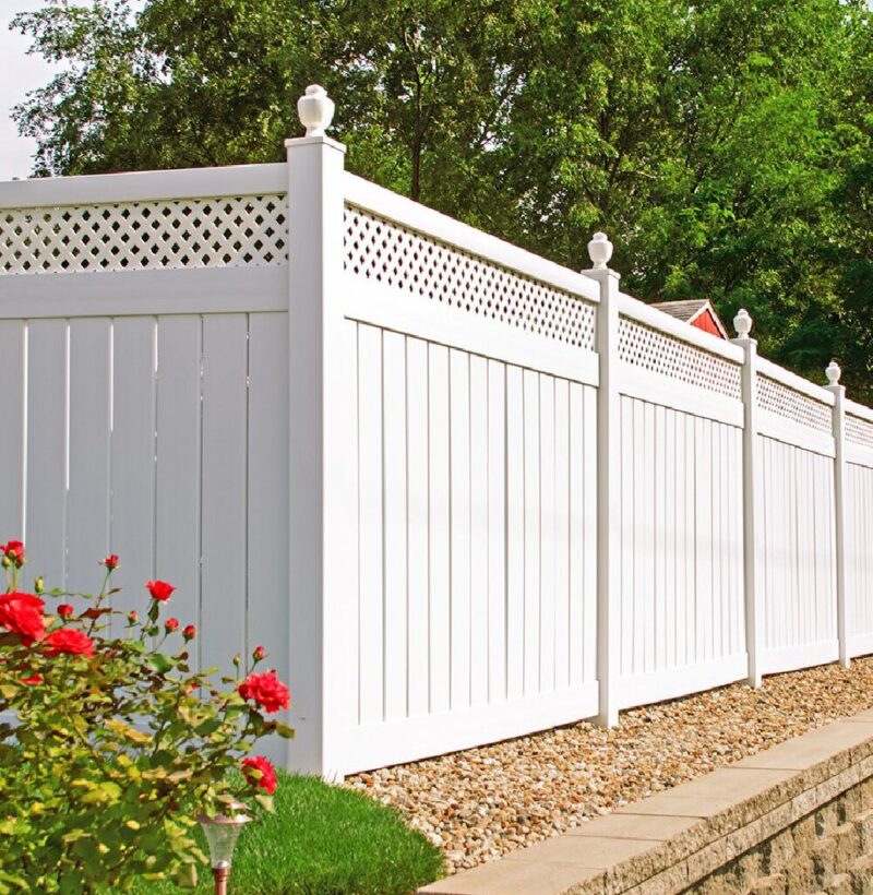 viny-fencing-2