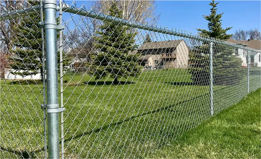 Chain link fence in grassy area