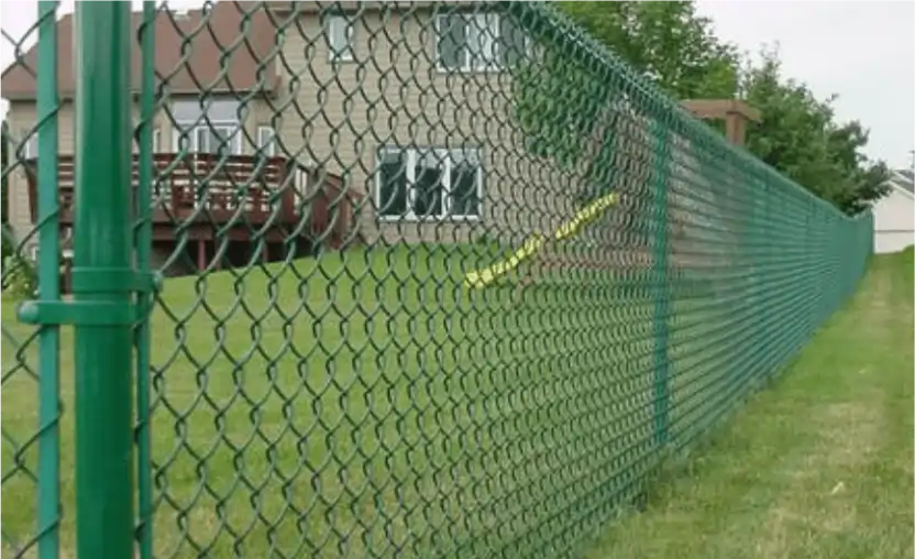 Green chain-link fence in backyard