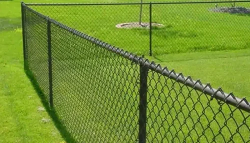 chain link fence cat